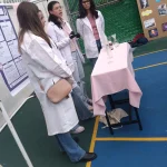 Expo proyetos