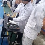 Expo proyetos