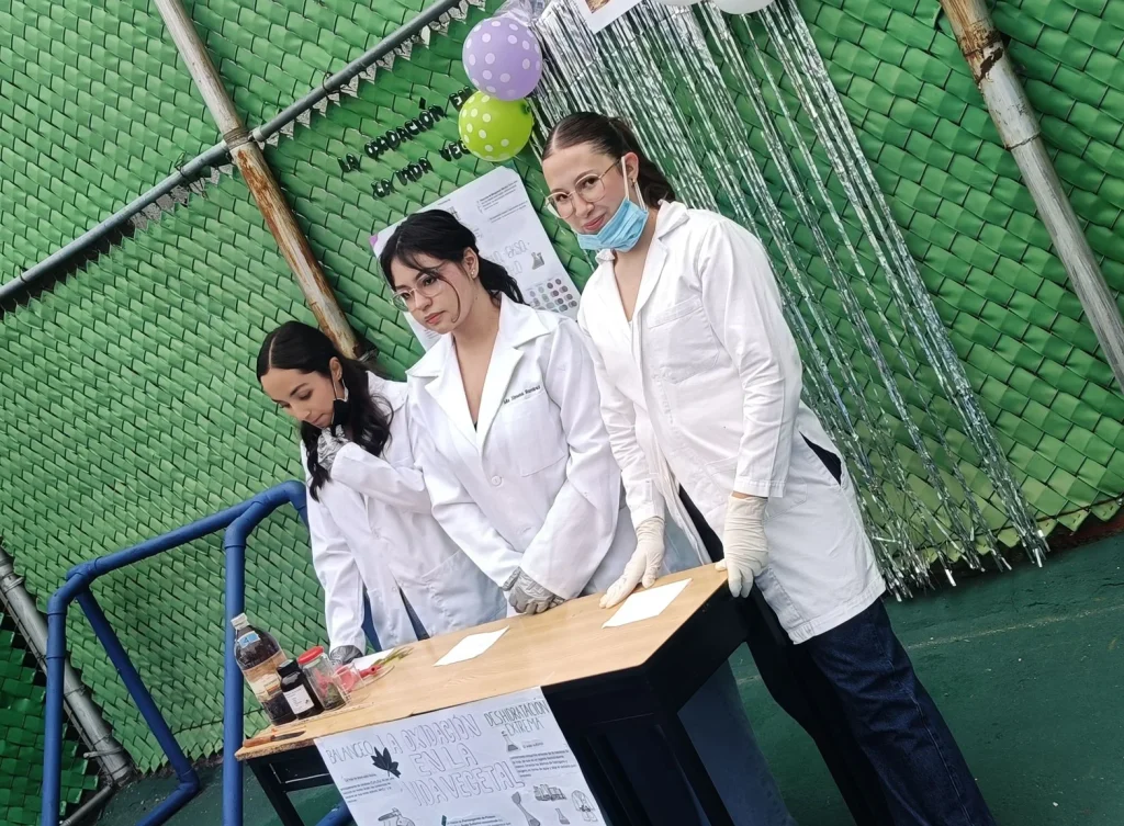 Expo proyetos