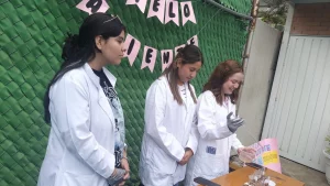 Expo proyetos